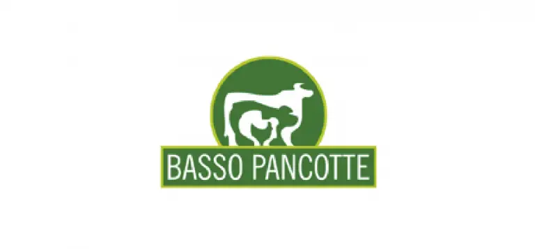 Basso & Pancotte