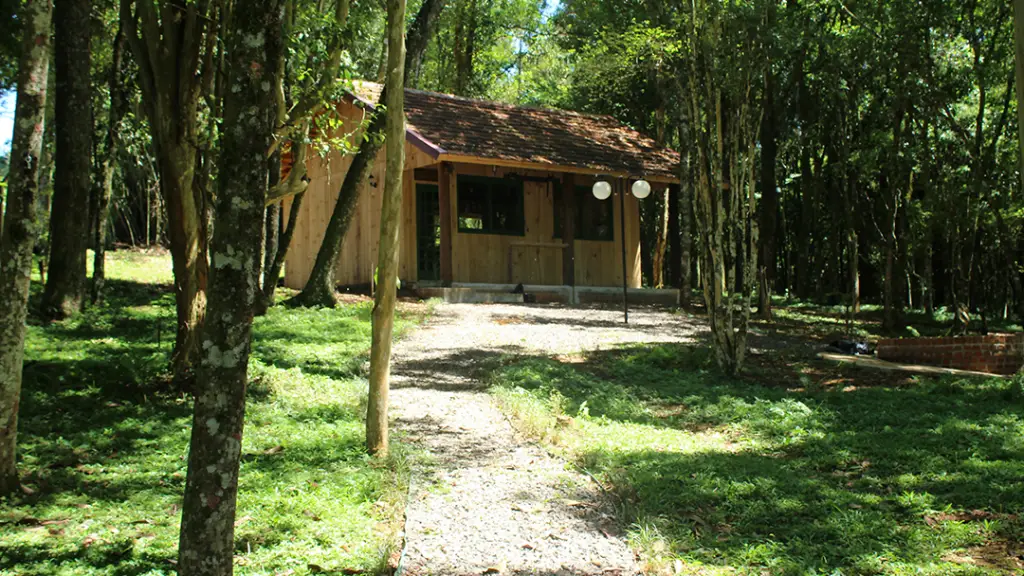 Estrutura System Desenvolvimento de Sistemas