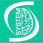System