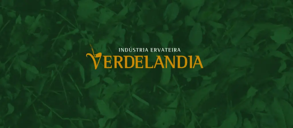 Ervateira Verdelandia adota Serviço de Cloud Backup da System