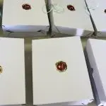 Dia Internacional da Mulher