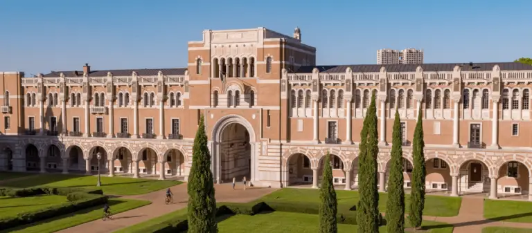 Estudantes da Rice University, EUA, desenvolvem projeto acadêmico com a System