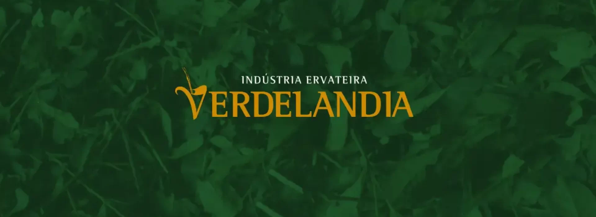 Ervateira Verdelandia adota Serviço de Cloud Backup da System